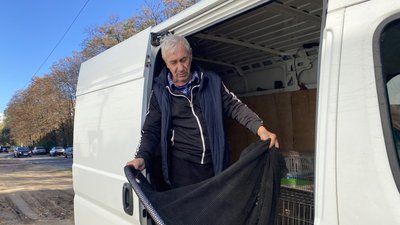 У Полтавській ТГ стерилізують котів у рамках проєкту "Кішка": скільки тварин прооперували У Полтавській ТГ стерилізують котів у рамках проєкту "Кішка": скільки тварин прооперували