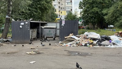 Стихійне сміттєзвалище Стихійне сміттєзвалище