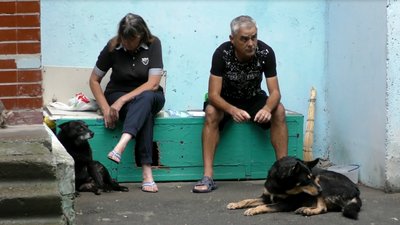 Собачі чвари: як безпритульні собаки у Херсоні сусідів посварили Собачі чвари: як безпритульні собаки у Херсоні сусідів посварили