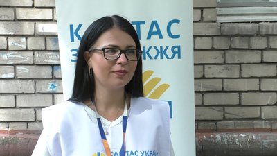 шелтер шелтер