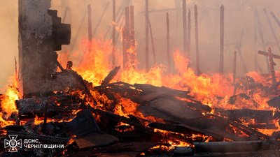 Вогонь знищив будівлю в лісі під Черніговом 27 травня 2024 році
