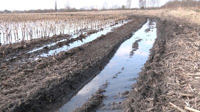 Розчищення меліоративних каналів