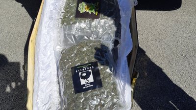 У Франції затримали катафалк, повний марихуани У Франції затримали катафалк, повний марихуани