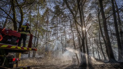 Німеччина, лісові пожежі
