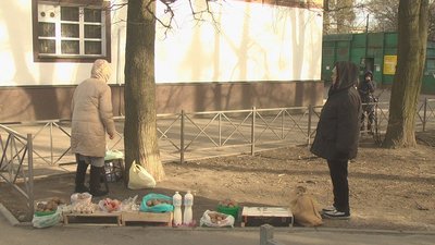 Правоохоронці патрулюють разом з екологами: на Вінниччині триває операція "Первоцвіт" Правоохоронці патрулюють разом з екологами: на Вінниччині триває операція "Первоцвіт"