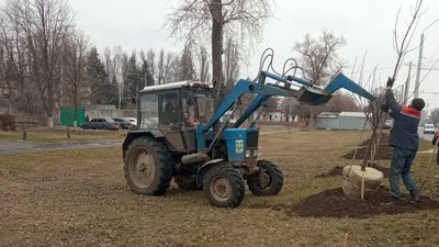 У Полтаві висаджують нові дерева У Полтаві висаджують нові дерева