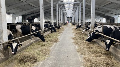 ферма у Хотімлі ферма у Хотімлі