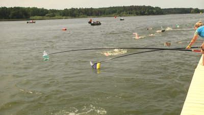 Житомир вперше приймає чемпіонат України з плавання на відкритій воді Житомир вперше приймає чемпіонат України з плавання на відкритій воді