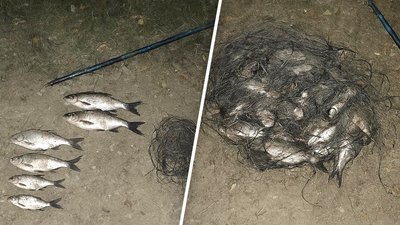 Риба, яку вилучили у чоловіка