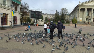 На Тернопільщині у 589 осіб підтвердили COVID-19 за добу