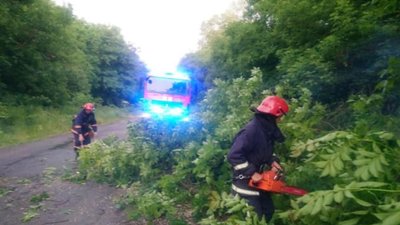 Повалені дерева та розмиті дороги. На Франківщині ліквідовують наслідки негоди Повалені дерева та розмиті дороги. На Франківщині ліквідовують наслідки негоди