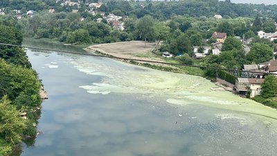 Плями на поверхні річки Тетерів – житомирські екологи взяли проби води Плями на поверхні річки Тетерів – житомирські екологи взяли проби води