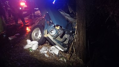 На Житомирщині автомобіль застряг між деревами над прірвою – водія визволяли рятувальники На Житомирщині автомобіль застряг між деревами над прірвою – водія визволяли рятувальники