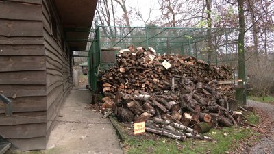 Зоопарк Рівного готується до похолодання: як зимуватимуть екзотичні тварини Зоопарк Рівного готується до похолодання: як зимуватимуть екзотичні тварини