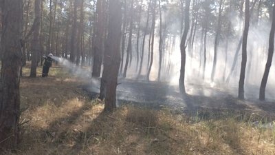 Через обстріли на Миколаївщині сталася пожежа в лісовому урочищі