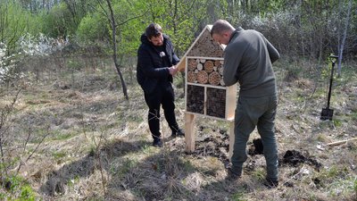 У лісах на Хмельниччині встановили будиночки для комах: для чого
