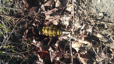На Волині чоловік через сварку кинув гранату на подвір'я односельця На Волині чоловік через сварку кинув гранату на подвір'я односельця