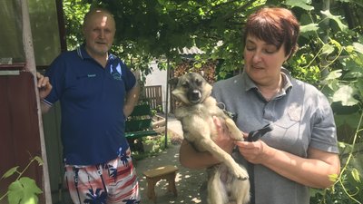 Переселенці Наталія та Сергій Рижкови з Рубіжного шукають роботу на Житомирщині Переселенці Наталія та Сергій Рижкови з Рубіжного шукають роботу на Житомирщині