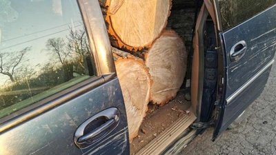 На Волині чоловік спалив авто з краденим дубом На Волині чоловік спалив авто з краденим дубом