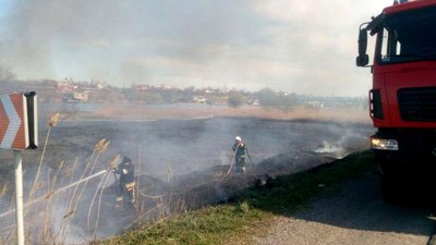Більше 10 годин горів Нижньодністровський парк на Одещині