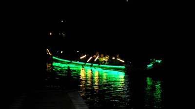 Житомирські веслувальники показали, як тренуються на драгонботі з ілюмінацією Житомирські веслувальники показали, як тренуються на драгонботі з ілюмінацією