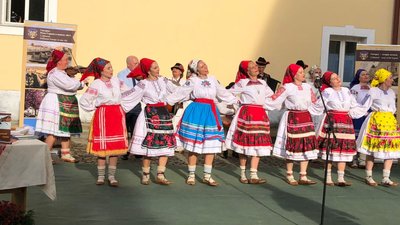 15 учасників виступили на концерті фольклорно-етнографічного ансамблю "Ужгород"