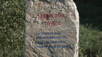 груша груша