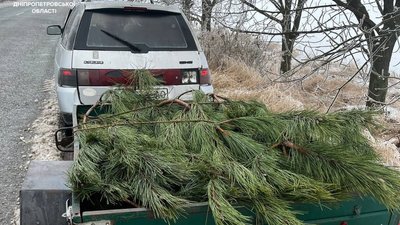 На Дніпропетровщині виявили чоловіка, який перевозив ймовірно незаконно зрубані сосни