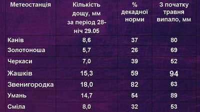 На Черкащині дощі не припиняться: прогноз на тиждень На Черкащині дощі не припиняться: прогноз на тиждень