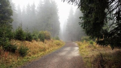 Хмарно та помірні дощі. Погода в Кіровоградській області на вихідні
