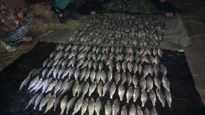 На Херсонщині браконьєри нанесли збитків майже на 55 тисяч гривень На Херсонщині браконьєри нанесли збитків майже на 55 тисяч гривень