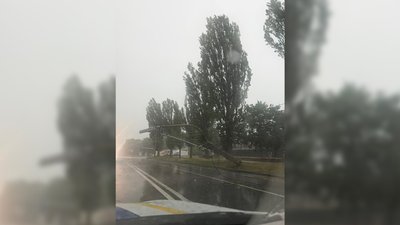 Негода у Чернігові 29 червня 2026 року: повалені дерева та електроопори