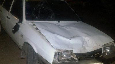 На Запоріжжі водій збив трьох пішоходів: жінка загинула на місці, двоє підлітків у важкому стані