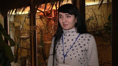 Рівне мавпи