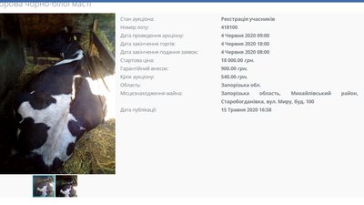 Мін'юст продає на аукціоні собак, корів та індиків. Що кажуть зоозахисники Мін'юст продає на аукціоні собак, корів та індиків. Що кажуть зоозахисники
