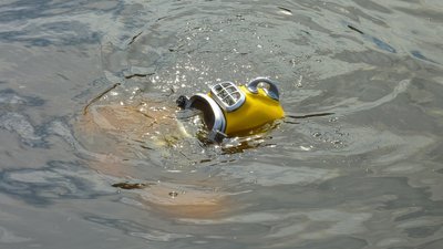 У Херсоні водолази знайшли тіло рибалки, який зник добу тому