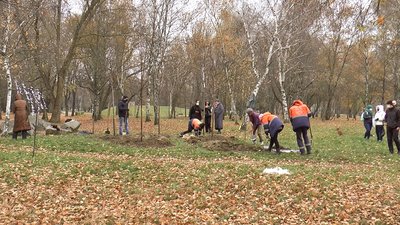 Висадили горобину та запалили лампадки: У Полтаві вшанували розстріляних євреїв