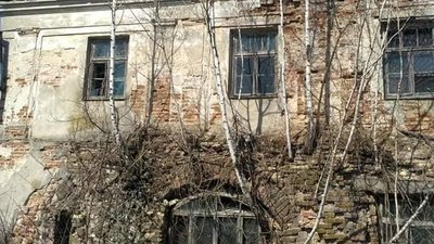 Волинські альпіністи розчистили стіни Олицького замку від заростей дерев Волинські альпіністи розчистили стіни Олицького замку від заростей дерев