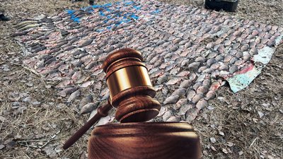 Незаконний вилов риби на Чернігівщині