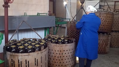 Кількість заготовленого березового соку на Волині зменшилася у п'ять разів