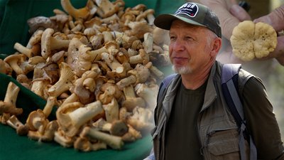Сергій Дегтяр з Чернігова майже 40 років збирає гриби у лісах області