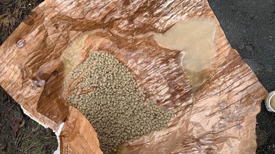 Через порив труби у багатоповерхівці загинули тварини у зоомагазині
