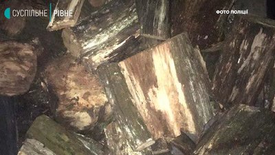 Дві вантажівки нелегальної деревини. На Дніпропетровщині виявили підозрюваних у вирубуванні дерев