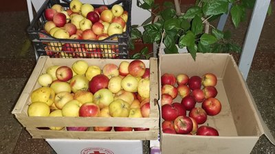 Будматеріали та продукти харчування: у громаді на Полтавщині збирають допомогу жителям Херсонщини Будматеріали та продукти харчування: у громаді на Полтавщині збирають допомогу жителям Херсонщини