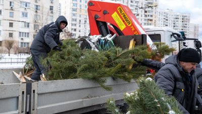 У столиці почали демонтувати незаконні ялинкові базари У столиці почали демонтувати незаконні ялинкові базари