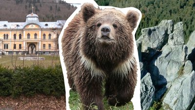 У 2023 році на Львівщині сума туристичного збору склала понад 46 млн грн: які локації відвідували найчастіше