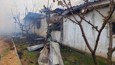 На Одещині горіла конюшня: евакуювали 24 коней