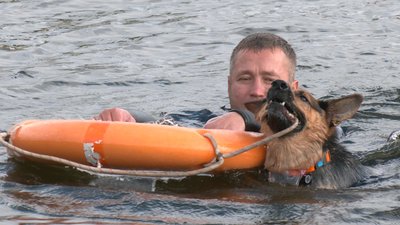 У Черкасах вівчарка-водолаз Найда склала іспит і стала рятувальницею У Черкасах вівчарка-водолаз Найда склала іспит і стала рятувальницею