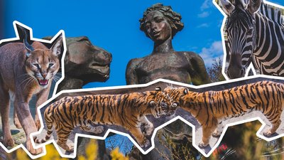 Миколаївський зоопарк відзначає ювілей: 120 років від дня відкриття