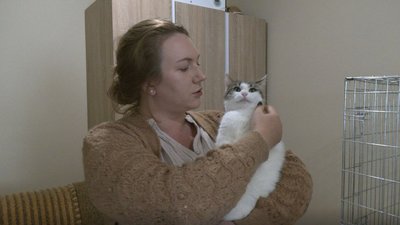 Новий будинок для котів та собак: дніпровський притулок для тварин потребує допомоги Новий будинок для котів та собак: дніпровський притулок для тварин потребує допомоги